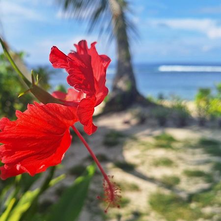 Bamboo Surf Beach San Isidro  Luaran gambar