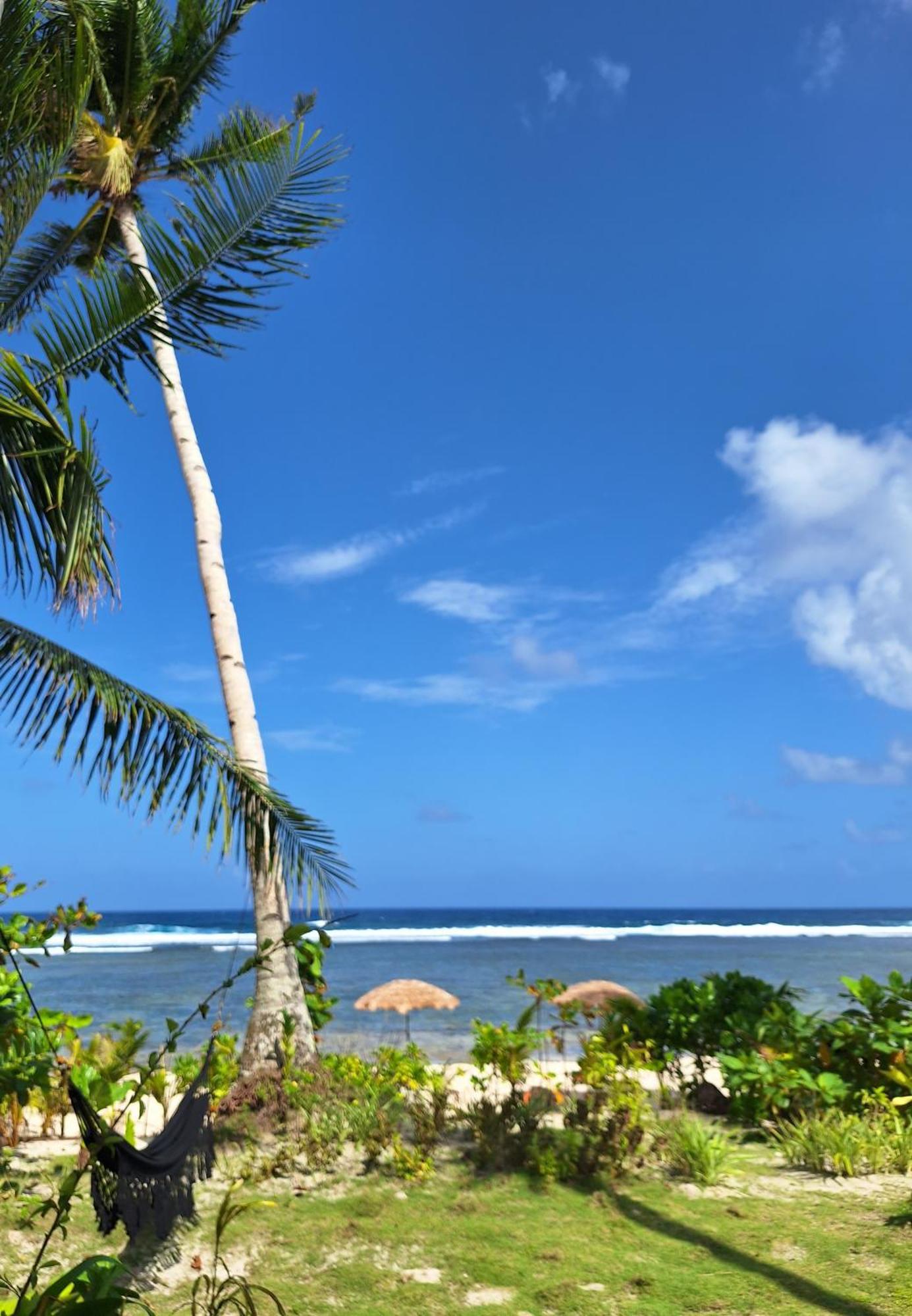 Bamboo Surf Beach San Isidro  Luaran gambar